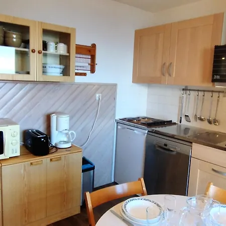 Apartament Location 2 Pieces Cabine, Pied Des Pistes, Balcon, 4-6 Pers, Proche Esf Et Commodites - Fr-1-771-45